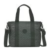 Kipling Asseni Mini Sign Green Emb
