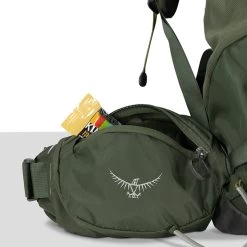 Osprey Kestrel 58 L/XL Bonsai Green 35 Osprey Kestrel 58 L/XL Bonsai Green -Mode Bagagewinkel image 6535