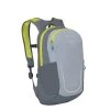 Osprey Daylite Jr. Pack Slate Grey/tungsten -Mode Bagagewinkel image 6759